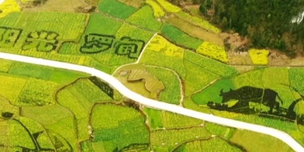 土地的涅槃｜全域土地綜合整治為何爆火？設計院如何搶占風口？